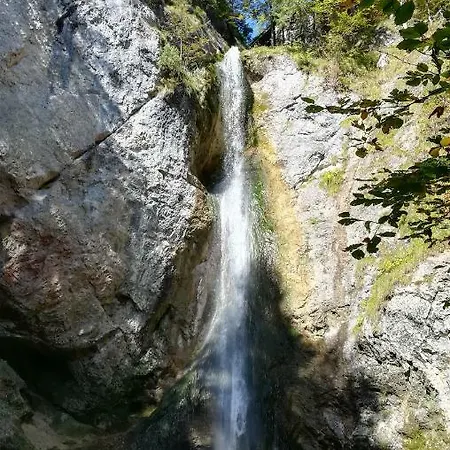 Rigoletto Daire Salzburg