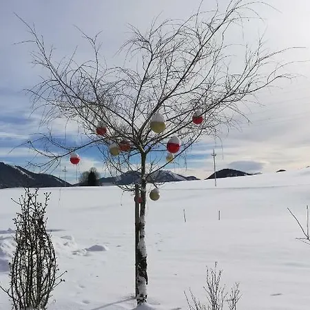 Rigoletto * Salzburg