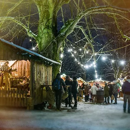 Rigoletto Daire Salzburg