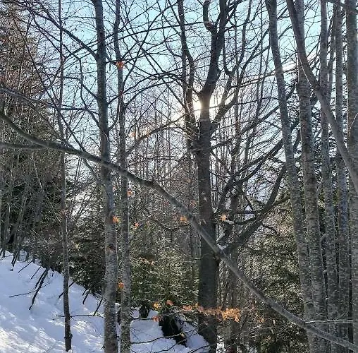 Rigoletto ザルツブルク