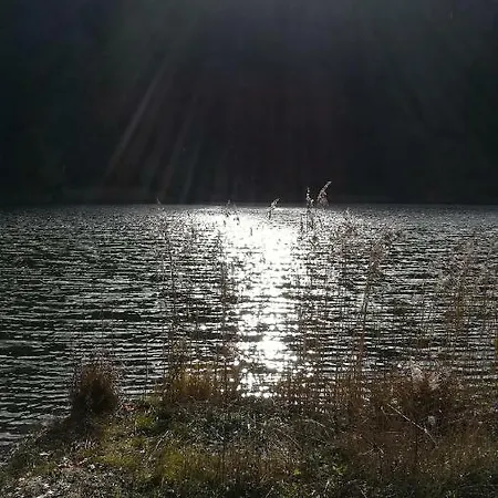 Apartment Rigoletto *