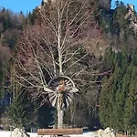 Apartmán Rigoletto Solnohrad