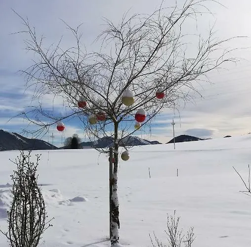 Rigoletto * Salzburgo